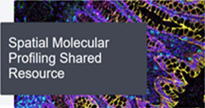 Spatial Molecular Profiling Shared Resource